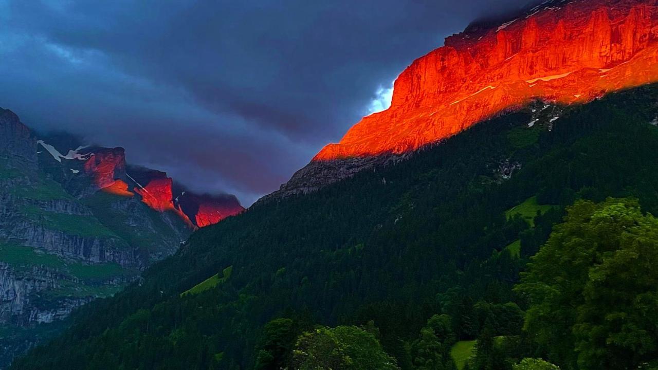 Ferienwohnung Im Gruenen Grindelwald Ngoại thất bức ảnh