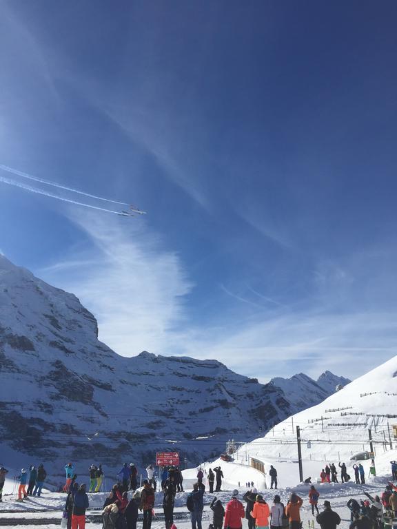 Ferienwohnung Im Gruenen Grindelwald Ngoại thất bức ảnh