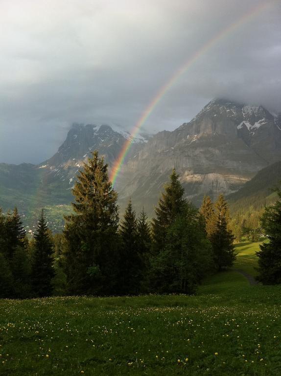 Ferienwohnung Im Gruenen Grindelwald Ngoại thất bức ảnh