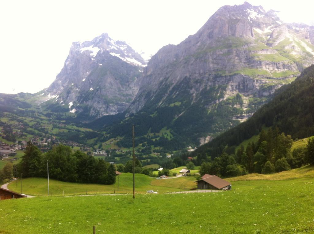 Ferienwohnung Im Gruenen Grindelwald Phòng bức ảnh