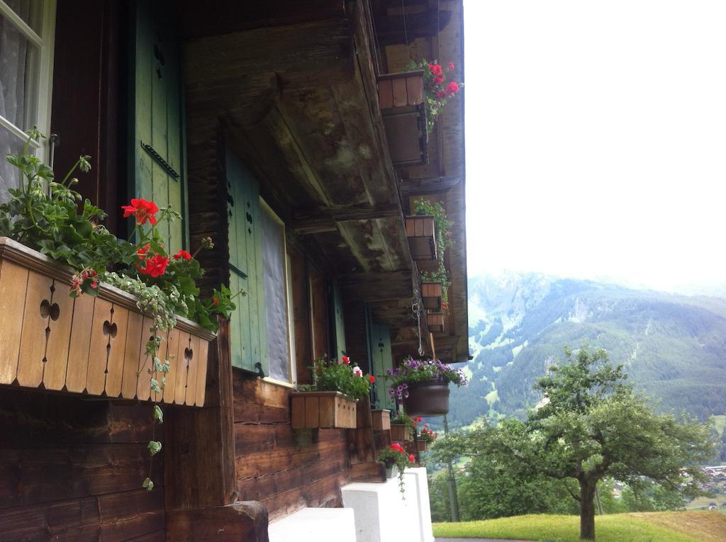 Ferienwohnung Im Gruenen Grindelwald Ngoại thất bức ảnh