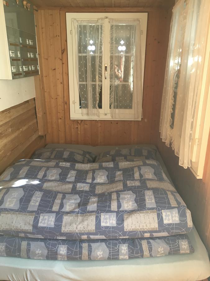 Ferienwohnung Im Gruenen Grindelwald Ngoại thất bức ảnh