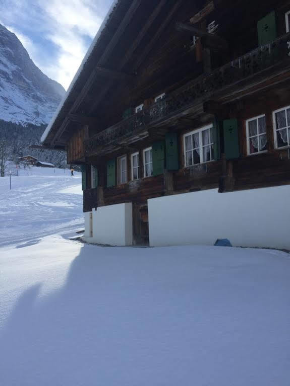 Ferienwohnung Im Gruenen Grindelwald Ngoại thất bức ảnh