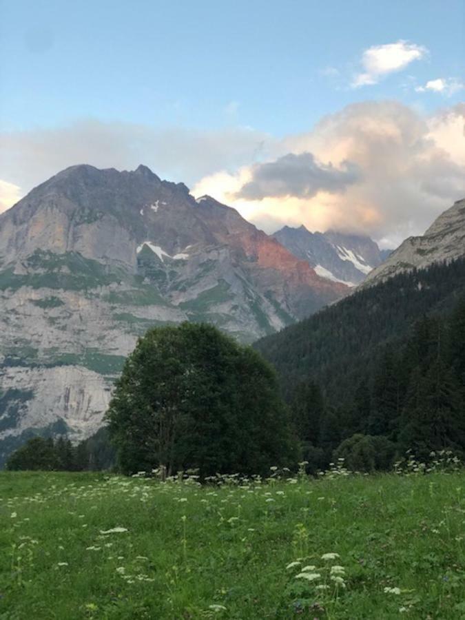 Ferienwohnung Im Gruenen Grindelwald Ngoại thất bức ảnh